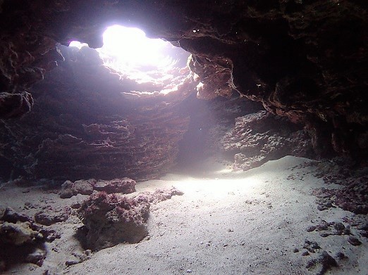 e0132965_7554514.jpg