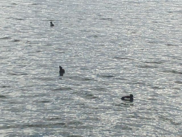 f0061067_16184257.jpg