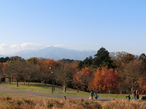 e0045768_2054876.jpg