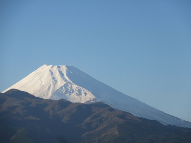 d0109373_2383339.jpg