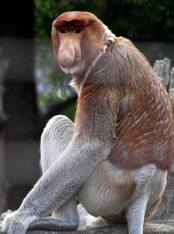 f0018492_2238452.jpg
