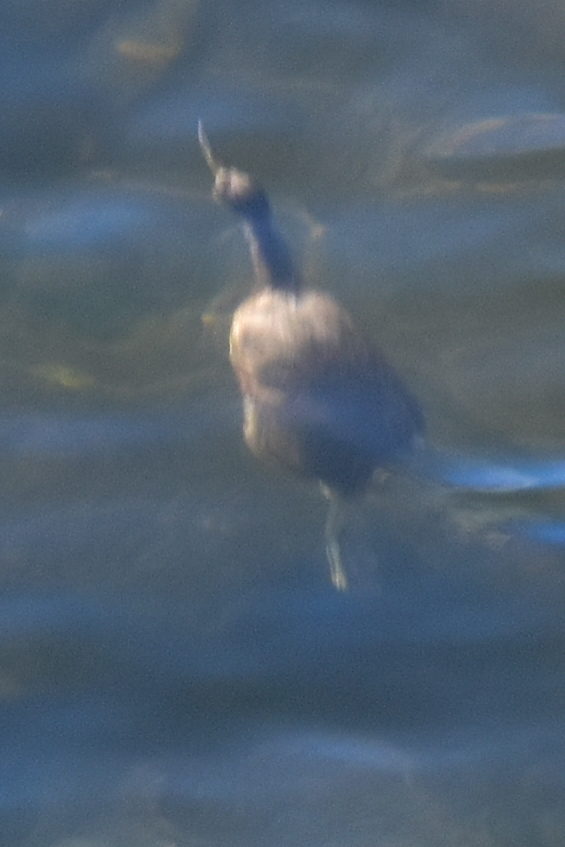 c0049299_22200996.jpg