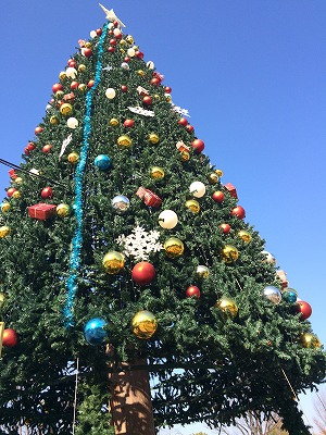 e0209900_10293969.jpg