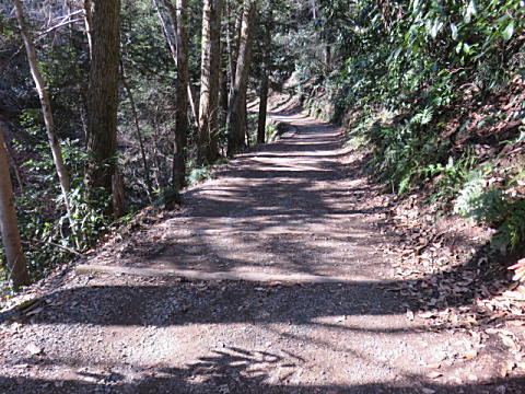 d0046702_929543.jpg