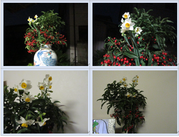 f0231709_2014793.png