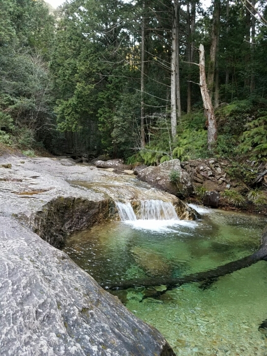 a0194911_09211746.jpg