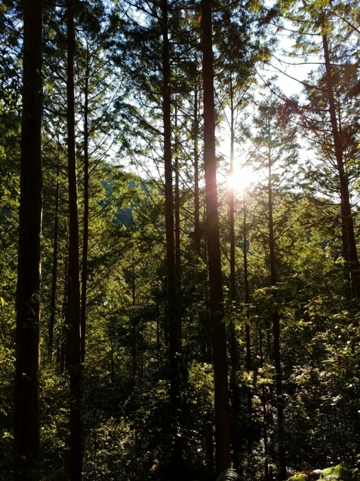 a0194911_09212155.jpg