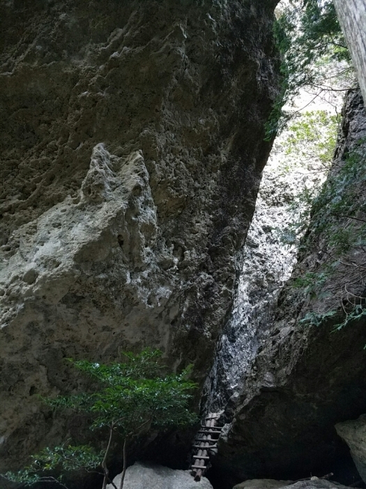 a0194911_09212401.jpg