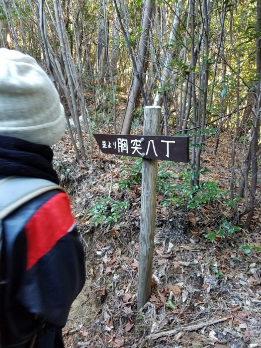 a0194911_10090177.jpg