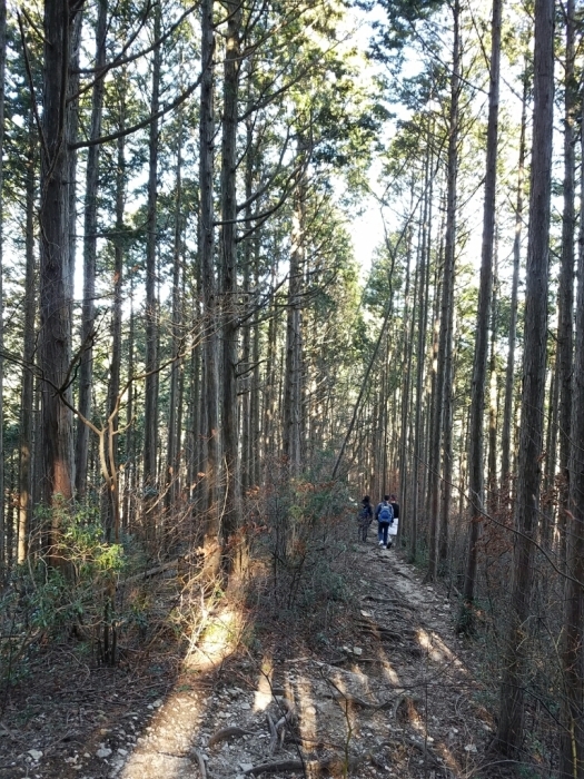 a0194911_10090502.jpg