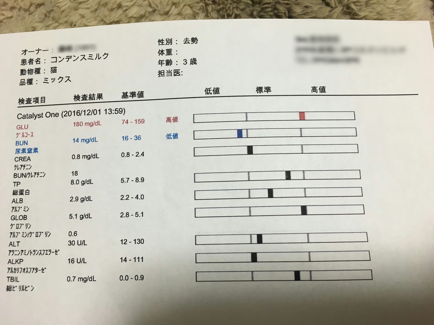 e0144012_02042989.jpeg