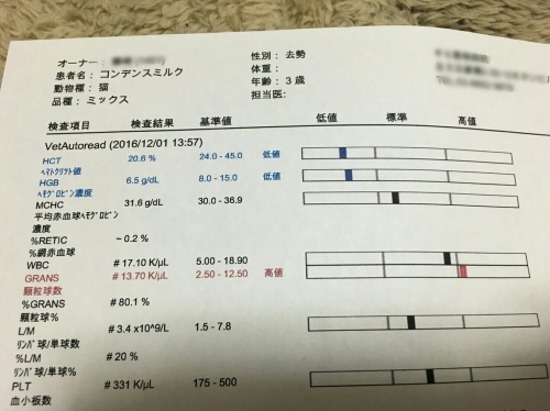 e0144012_02083314.jpeg
