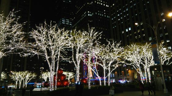 c0328616_11351485.jpg