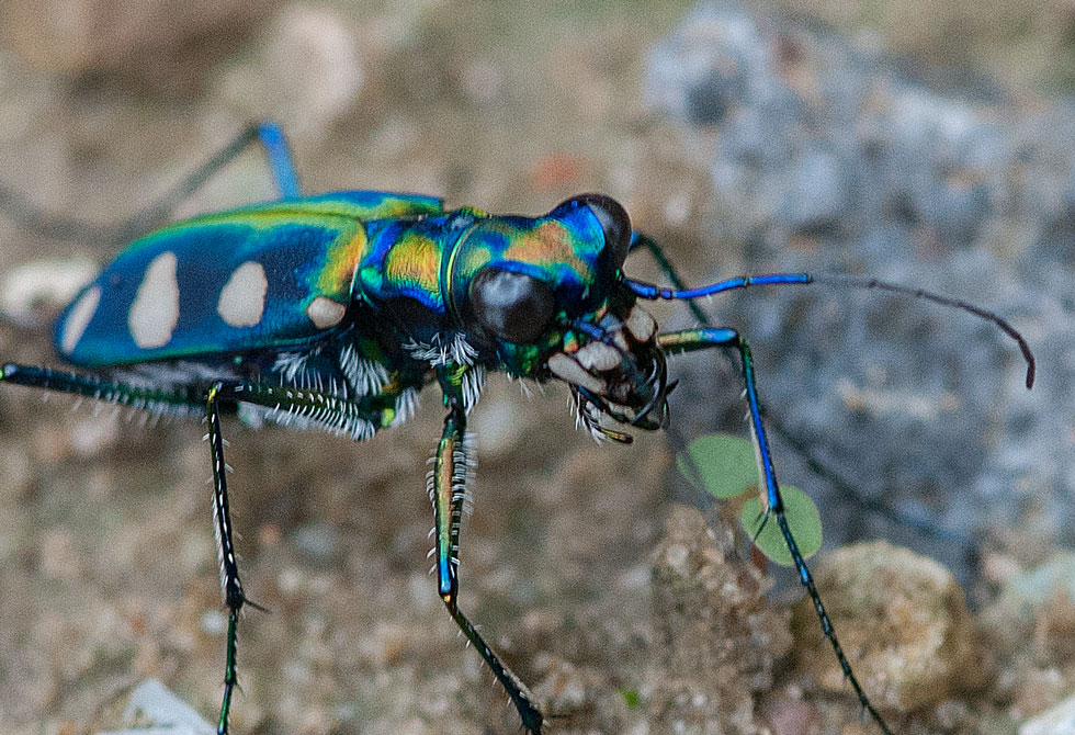 a0126632_2004973.jpg