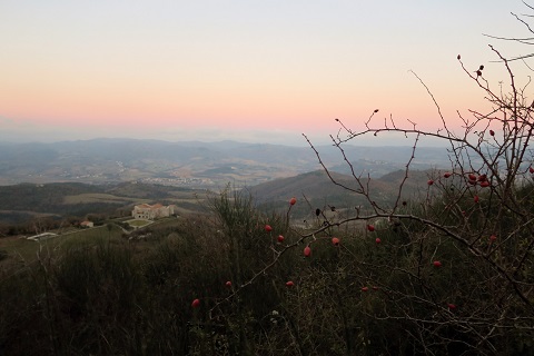 f0234936_7535417.jpg