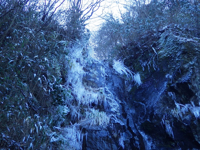 e0164643_04473.jpg
