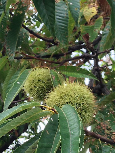 c0227245_232979.jpg