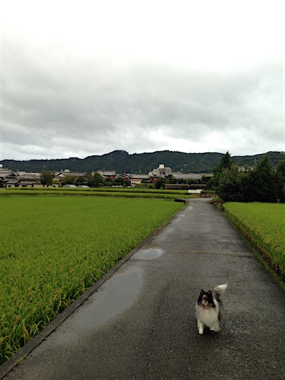 c0227245_2330236.jpg