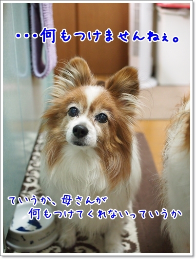 d0013149_00142293.jpg