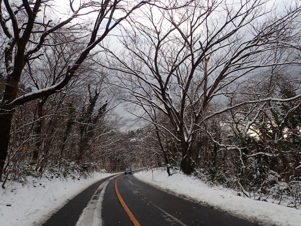 f0214649_6371474.jpg