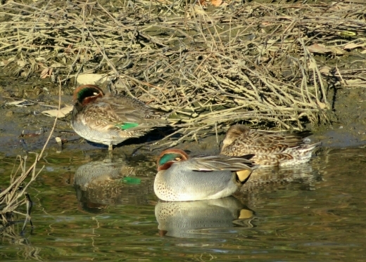 a0018655_13470065.jpg
