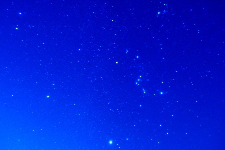 b0008655_11044629.jpg