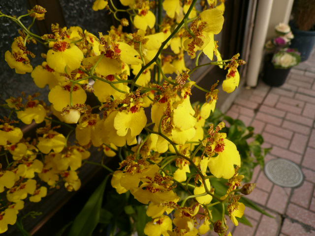 c0043055_13510634.jpg