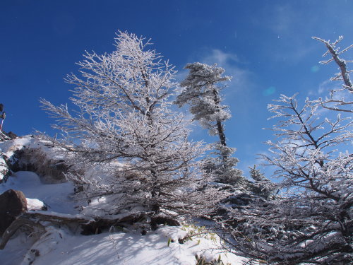 b0335256_22043191.jpg