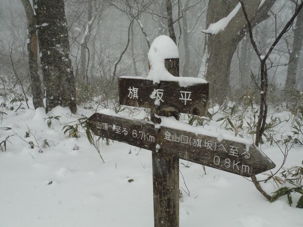 c0294658_22304848.jpg
