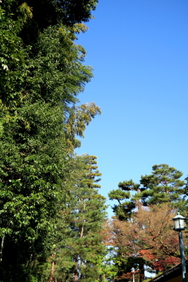 e0191481_18305808.jpg