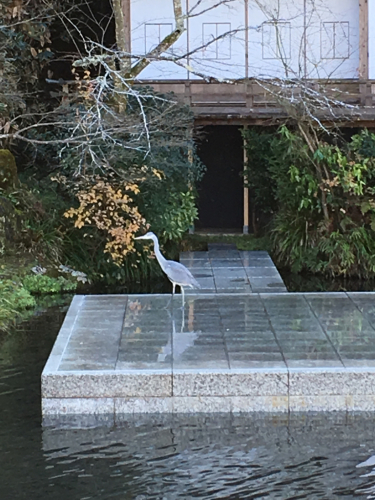 f0207881_10521694.jpg