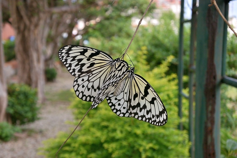 f0031682_22255497.jpg