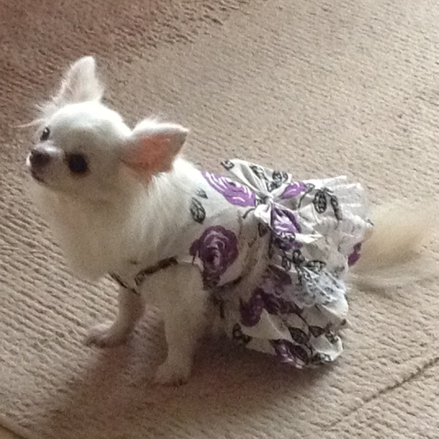 b0245886_23273974.jpeg