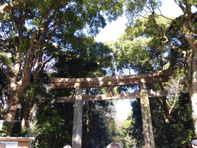 b0287088_19285539.jpg