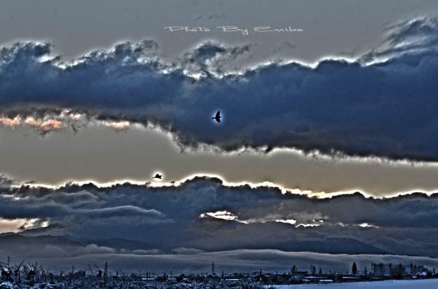 c0246290_21405917.jpg