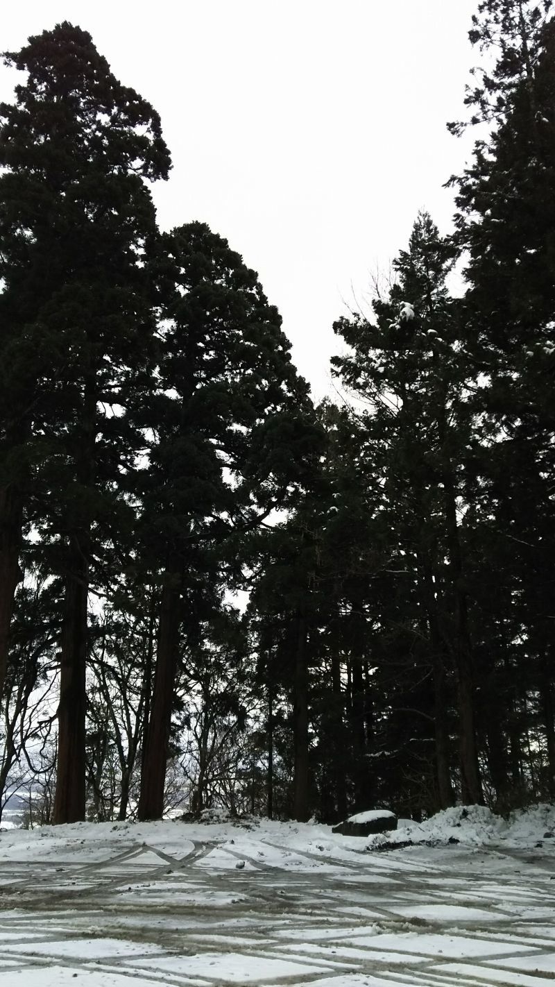 b0207491_17044563.jpg
