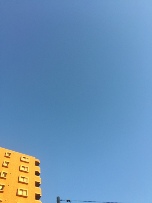 c0223091_16462776.jpg