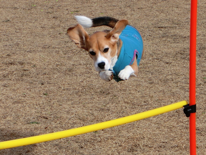 a0319693_8501820.jpg