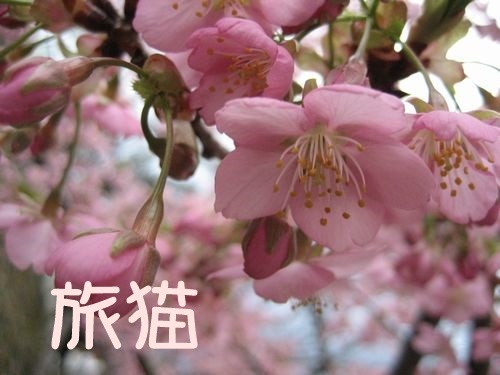 f0201297_22403688.jpg
