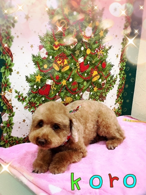 d0269898_12381291.jpeg