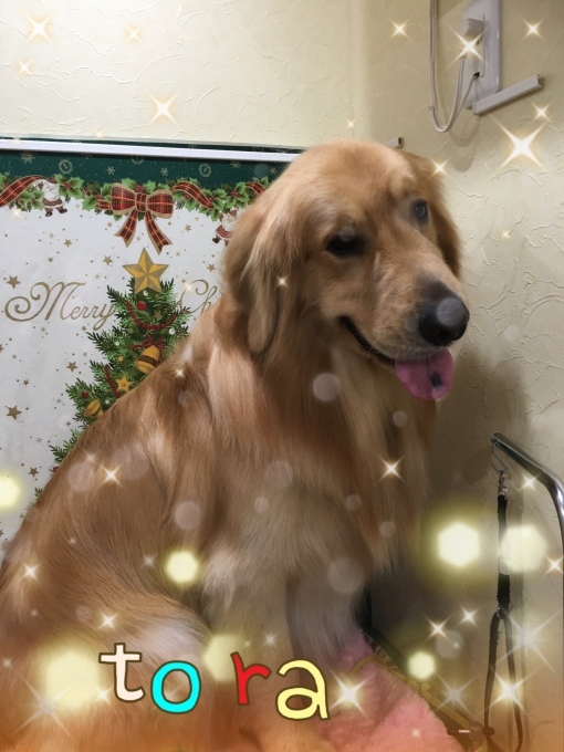 d0269898_12394462.jpeg