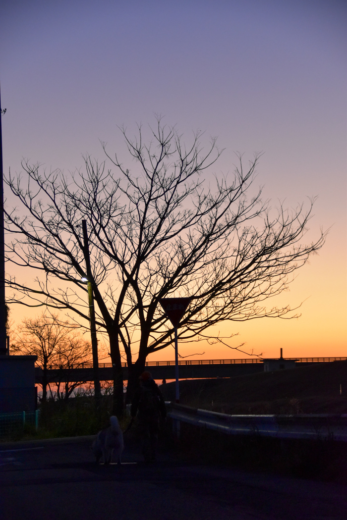 c0049299_21542595.jpg