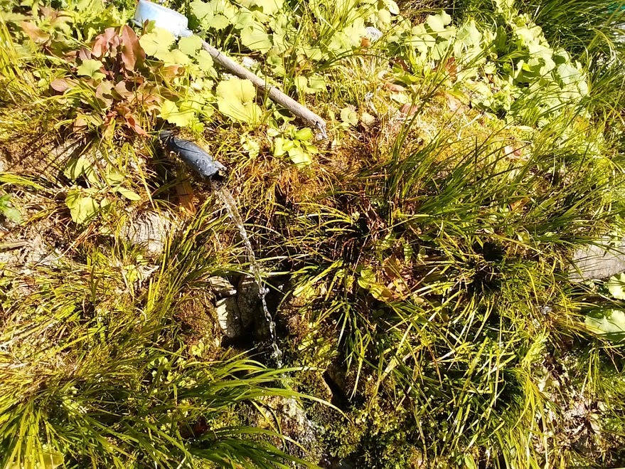 e0099212_21282243.jpg