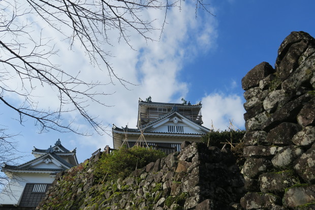 d0103314_18200518.jpg