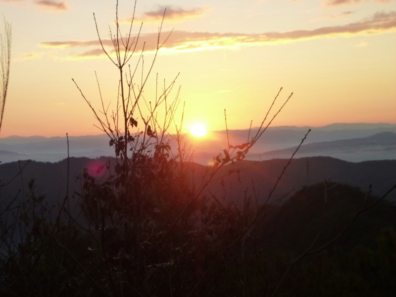 d0170615_18331771.jpg