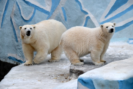 f0344626_12413166.jpg