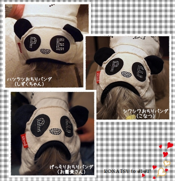d0179828_22512277.png