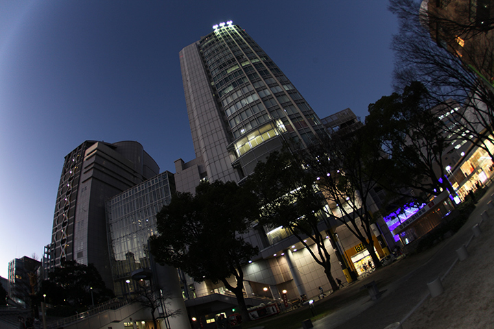 c0188434_15021006.jpg