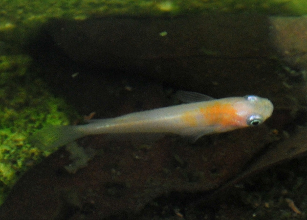e0097534_17582023.jpg