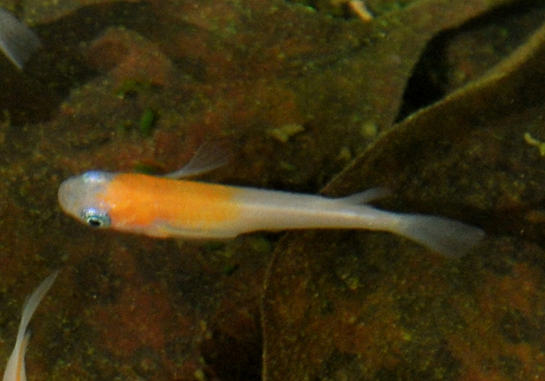 e0097534_175898.jpg